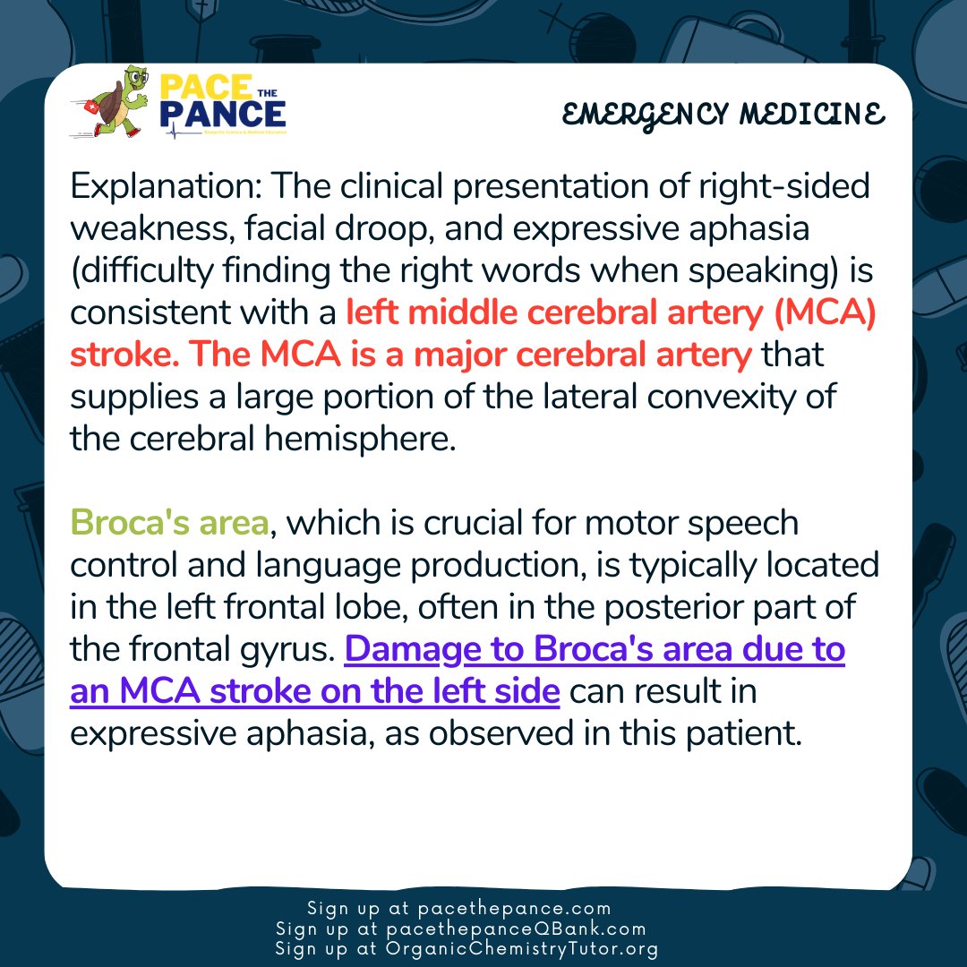 PaceThePance's tweet photo. Daily QBank practice problems for #PANCE #PANRE #PASchool #MedSchool #prePA #physicianassistant
#anatomy and more! Swipe to reveal answers, explanations, and PACE The PANCE Pearls. Sign up for memberships at https://t.co/3NA4uIbE9e or https://t.co/vnzTytDlFI #meded #medtwitter https://t.co/fL0eihVMsy