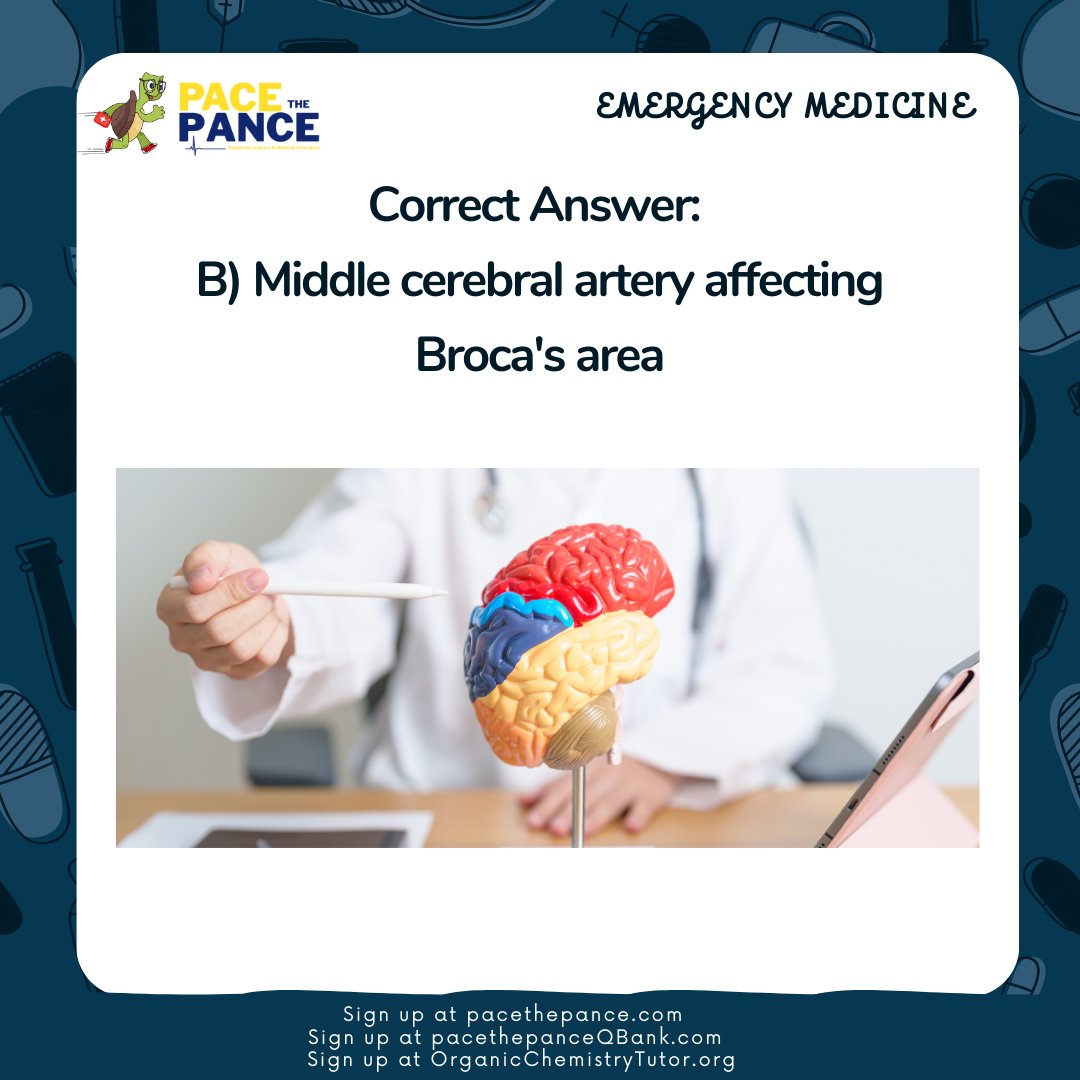PaceThePance's tweet photo. Daily QBank practice problems for #PANCE #PANRE #PASchool #MedSchool #prePA #physicianassistant
#anatomy and more! Swipe to reveal answers, explanations, and PACE The PANCE Pearls. Sign up for memberships at https://t.co/3NA4uIbE9e or https://t.co/vnzTytDlFI #meded #medtwitter https://t.co/fL0eihVMsy