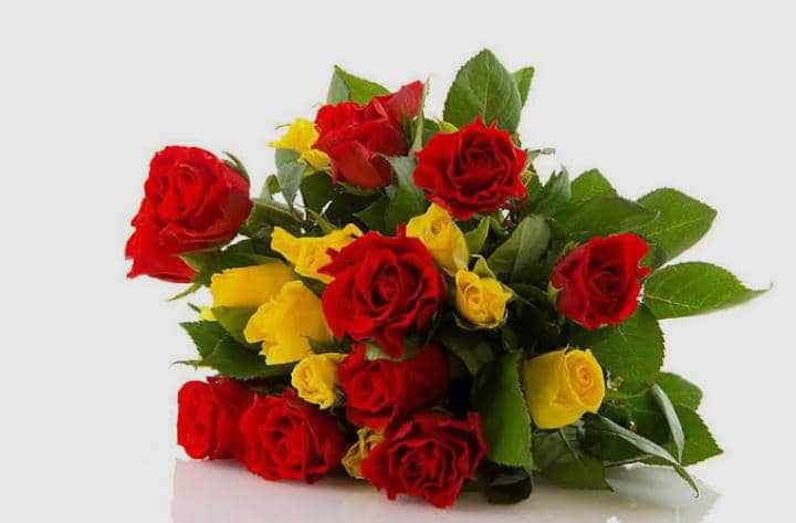If you love what you see give a red heart ❤