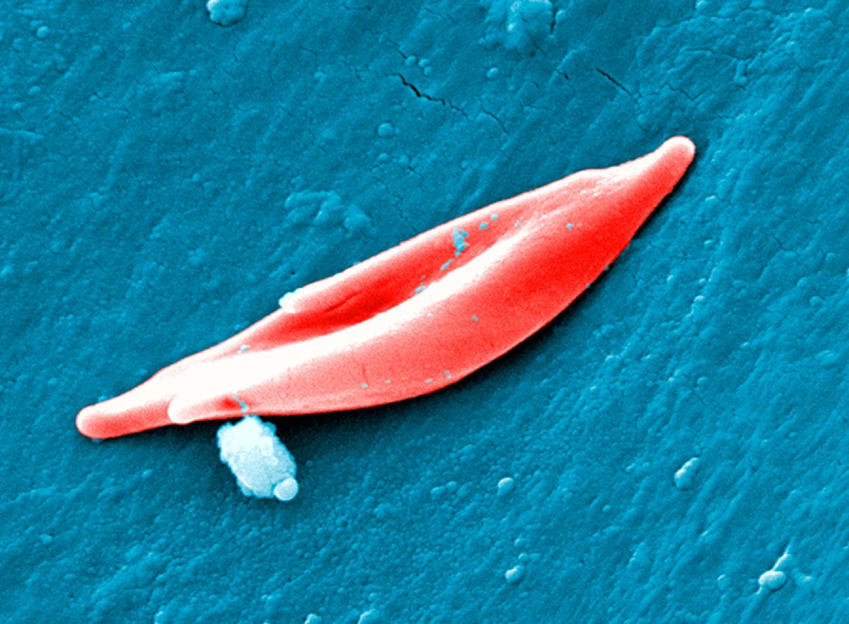 Nature Biotechnology tweet media