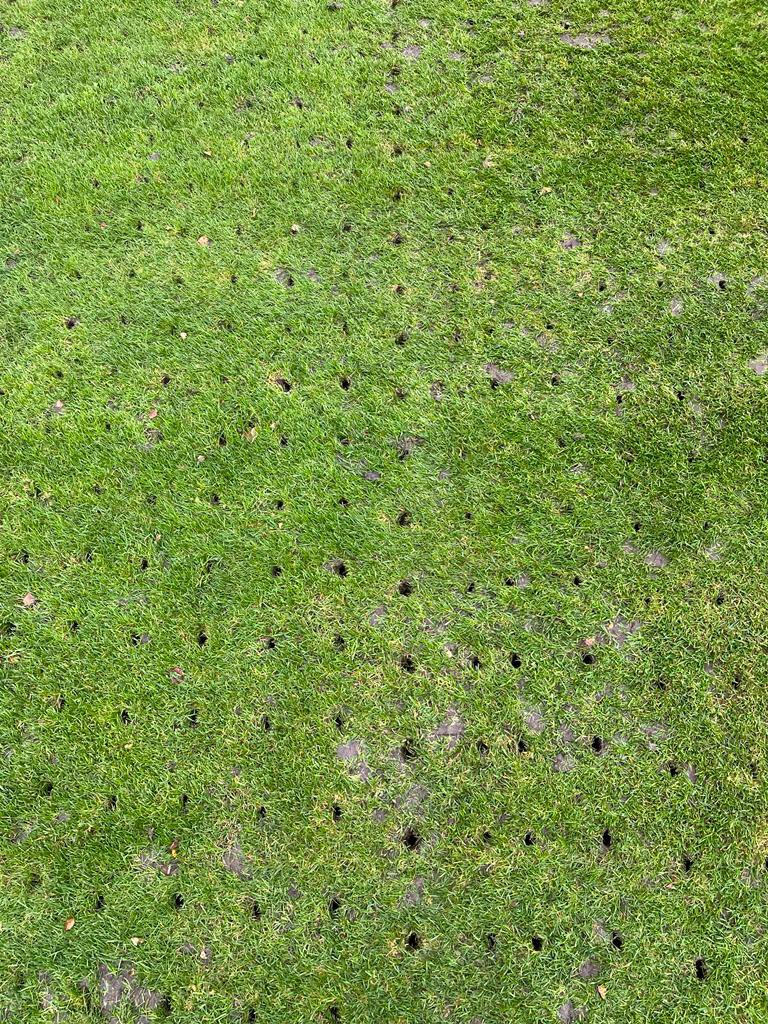 Greensward Sports Consultancy Ltd. tweet media