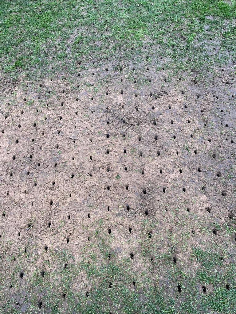 Greensward Sports Consultancy Ltd. tweet media