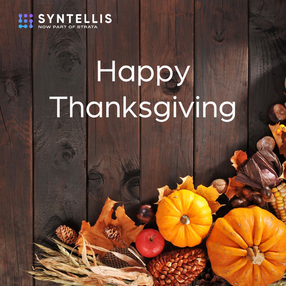 Wishing you a joyous Thanksgiving filled with love, laughter, and the warmth of good company.