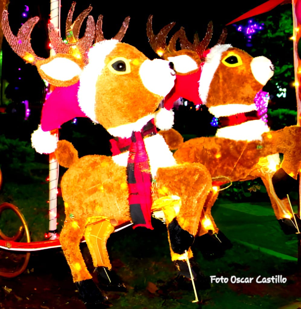 Que bello quedó el parque de San Marcos carazo, alegría para las familias y sobre todo para los niños que esperan está temporada con mucha ilusión, cada año nuestro gobierno  se esmera en  nuestros municipios para que tengamos una navidad llena de amor  🌲❄️