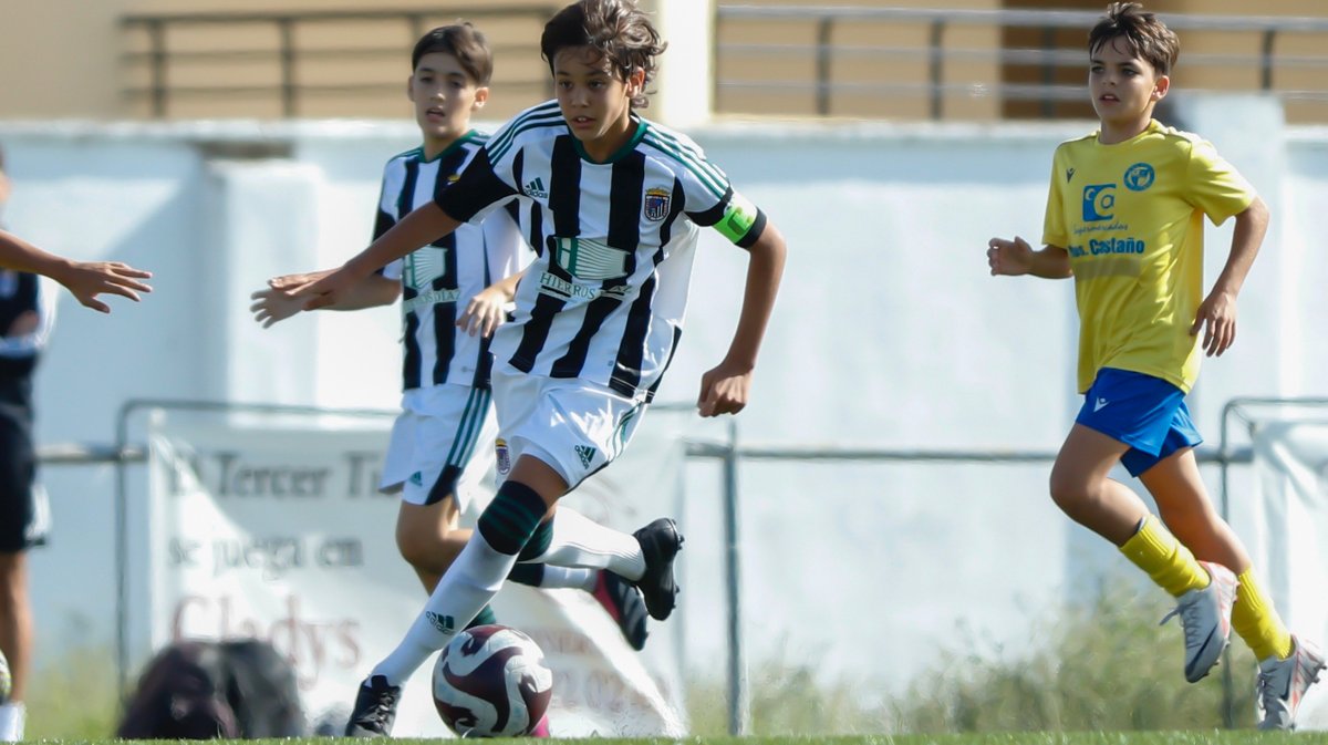 CDBadajoz's tweet photo. 𝐁𝐚𝐝𝐚𝐣𝐨𝐳 𝐦𝐞𝐫𝐞𝐜𝐞 𝐧𝐮𝐞𝐬𝐭𝐫𝐨 𝐞𝐬𝐟𝐮𝐞𝐫𝐳𝐨 👊⚪️⚫️

#CanteraCDB https://t.co/l8zLdEk5zU