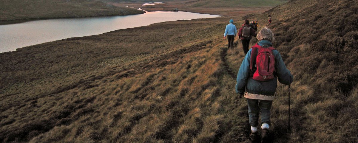 Want to know more about what we as a Trust are doing for nature regeneration? Why not try our Glaslyn and Bugeilyn audio trail in the landscape of the north Cambrian? To find out more and download the trail, 👉montwt.co.uk/audio-trail-gl… #PumlumonProject