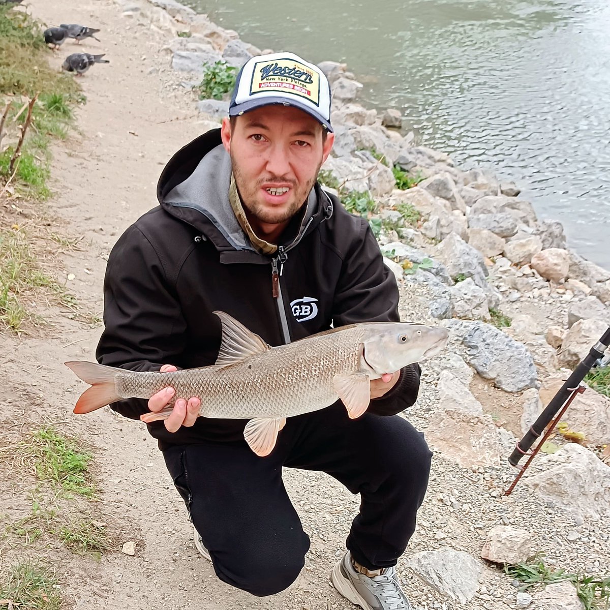 wewillfish's tweet photo. #nicebarbel 
#feederfishing https://t.co/ddqo5Ui3Tk
