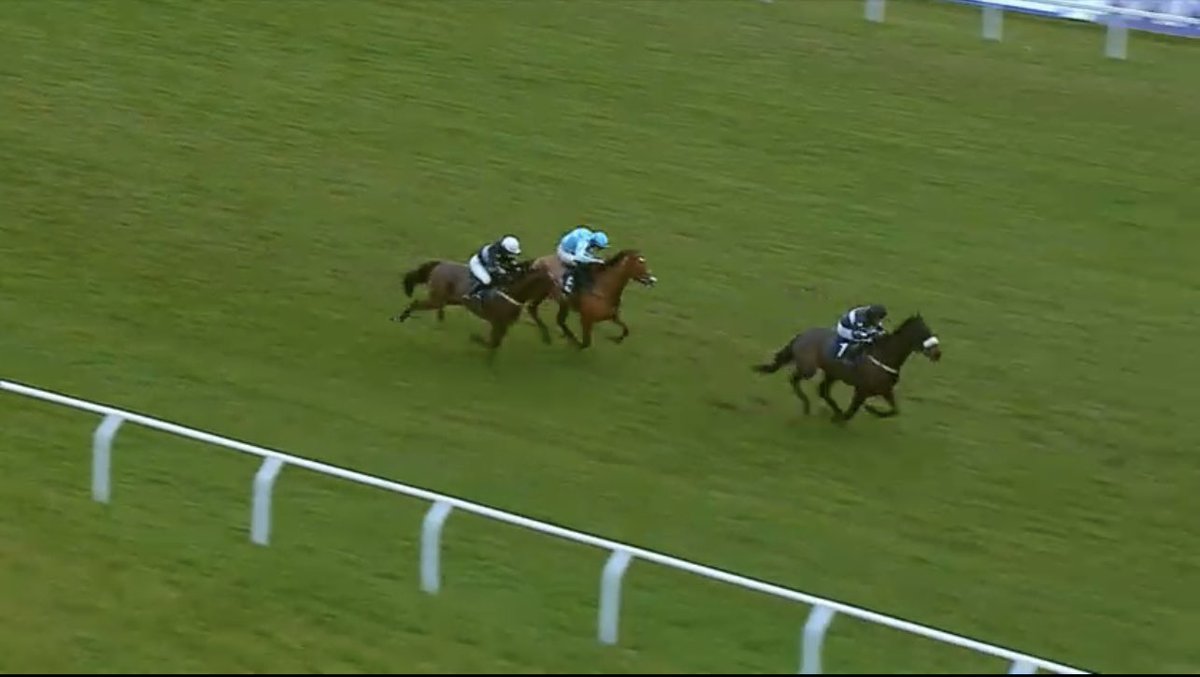 the racing newsletter tweet media