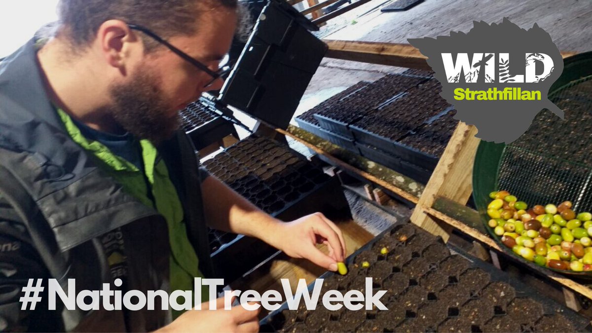 Trustinthepark's tweet photo. We're almost at the end of #NationalTreeWeek but your connection with nature doesn't have to stop there. Join, do or discover more about our:

🚶‍♀️#WalkinthePark health walks.
🦋#InStepwithNature challenges.
🌳#Naturerestoration work. 

https://t.co/ErhfmegTZj

@ourlivepark @TheGTF https://t.co/mEaQ9Ofd9Z