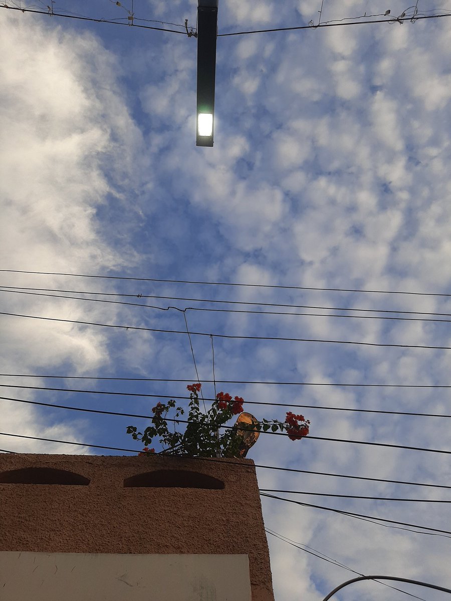 my love for skies and flowers against the world