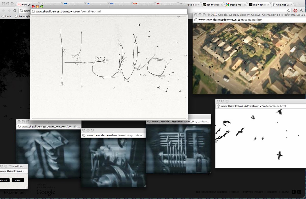 brady 🌴 tweet media