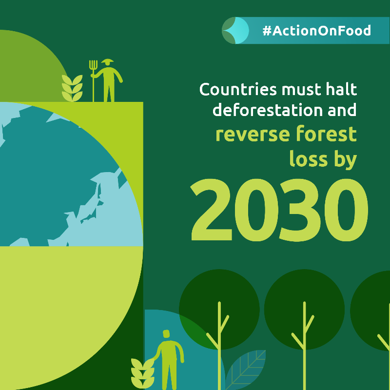 ActionOnFood's tweet photo. ❌ Business as usual is no longer an option.

We're calling for urgent collective efforts to accelerate #ActionOnFood at #COP28 🤝 Will you join us?