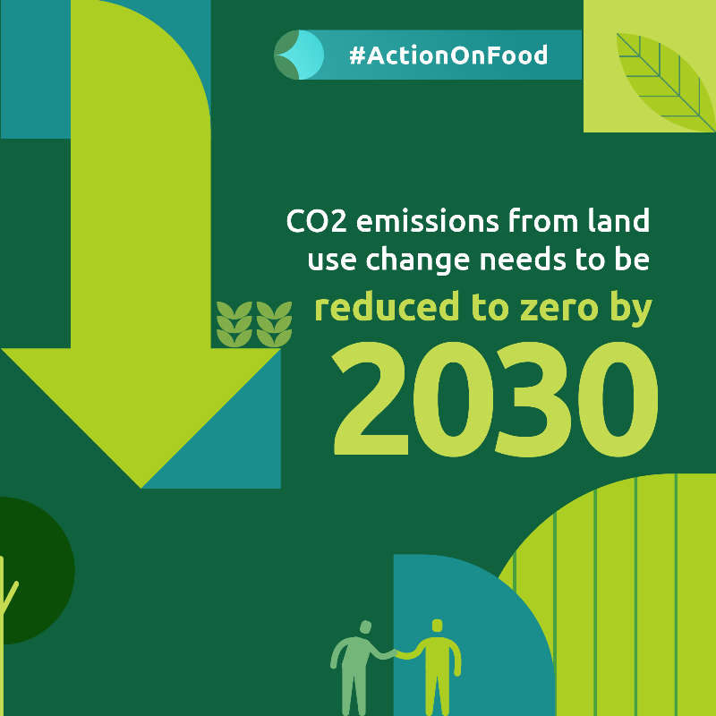 ActionOnFood's tweet photo. ❌ Business as usual is no longer an option.

We're calling for urgent collective efforts to accelerate #ActionOnFood at #COP28 🤝 Will you join us?
