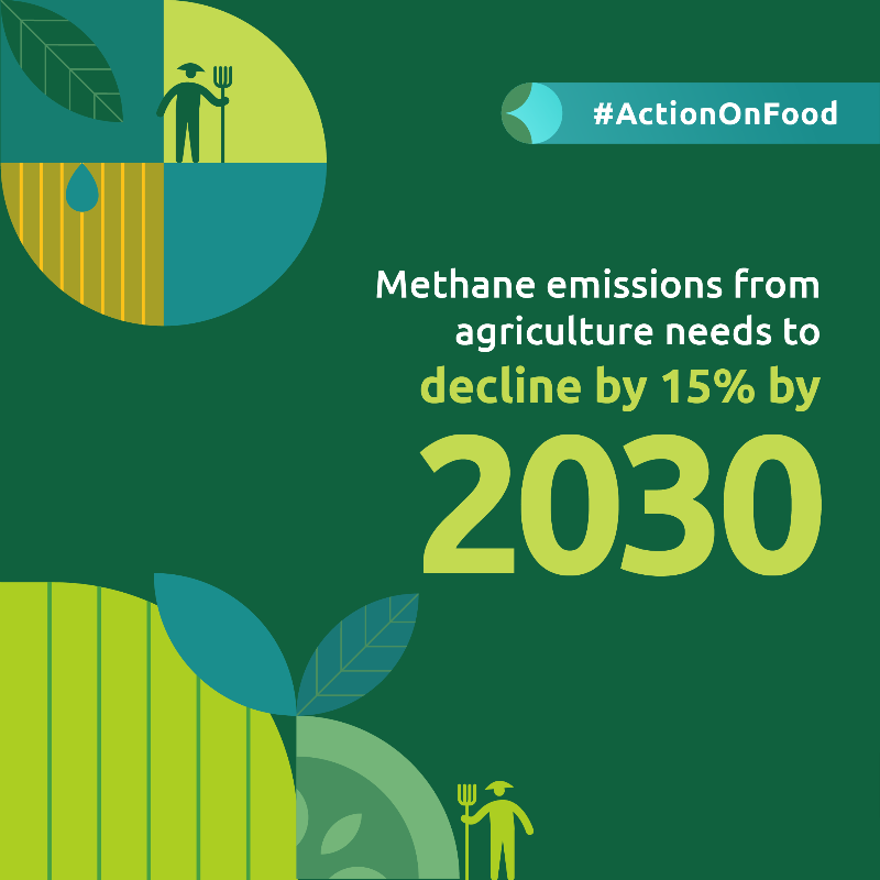 ActionOnFood's tweet photo. ❌ Business as usual is no longer an option.

We're calling for urgent collective efforts to accelerate #ActionOnFood at #COP28 🤝 Will you join us?