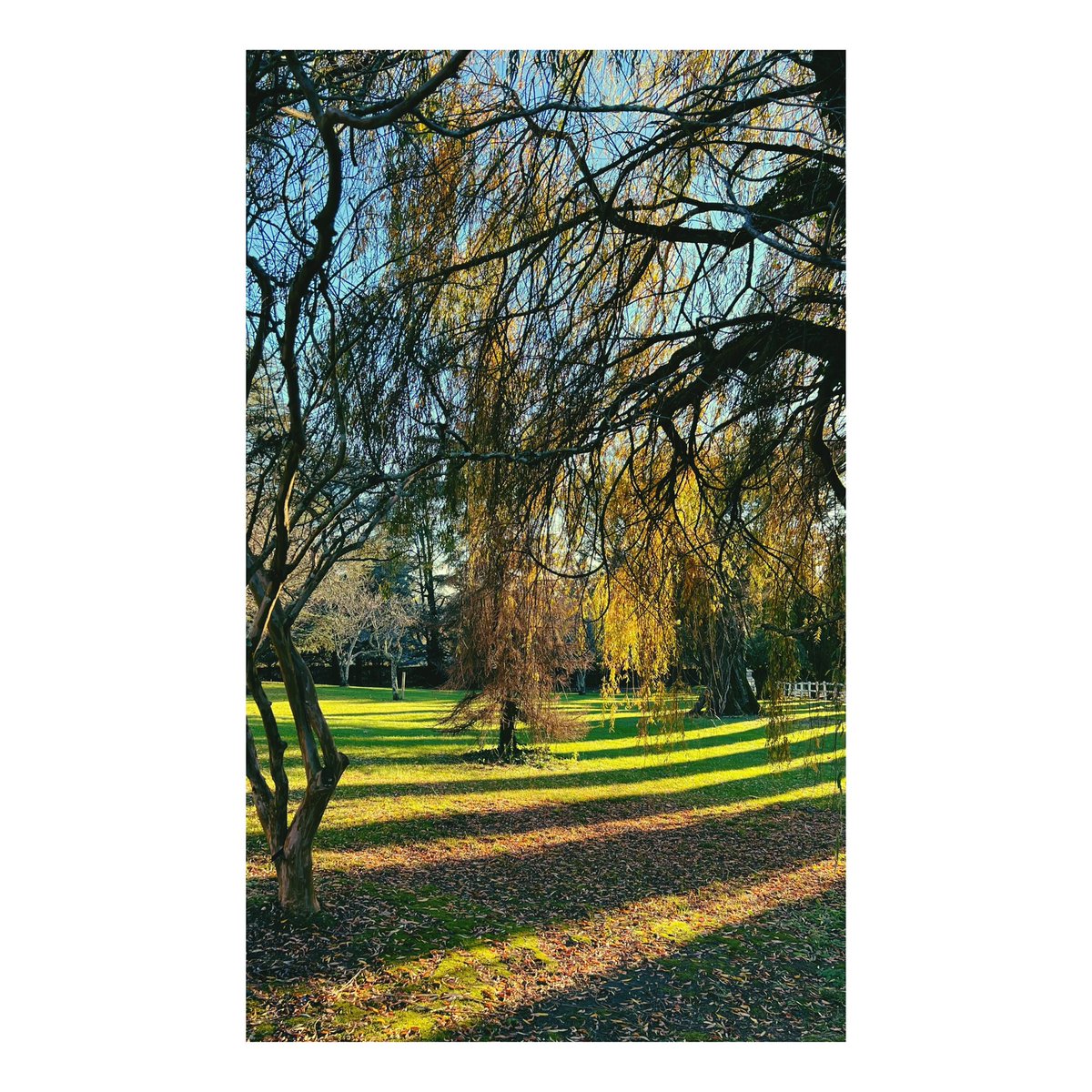 Château Lafitte tweet media