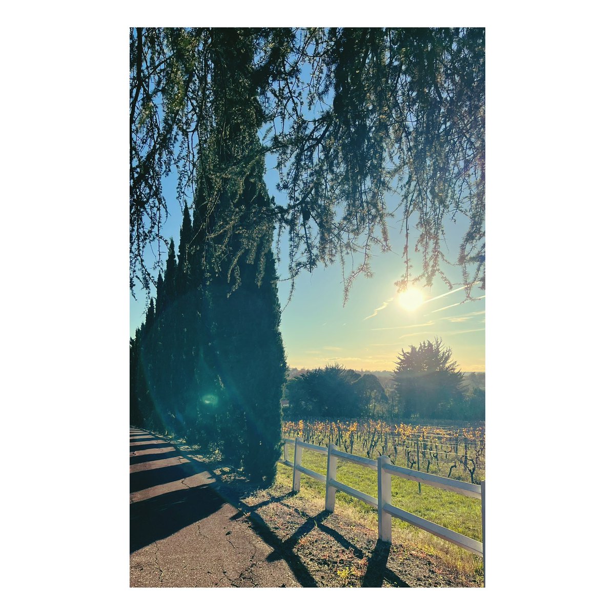 Château Lafitte tweet media