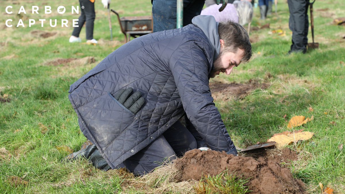 🌳 Winter Planting Perks

Trees thrive when planted in winter, taking advantage of dormancy to establish strong roots before spring growth bursts forth! #WinterTreePlanting