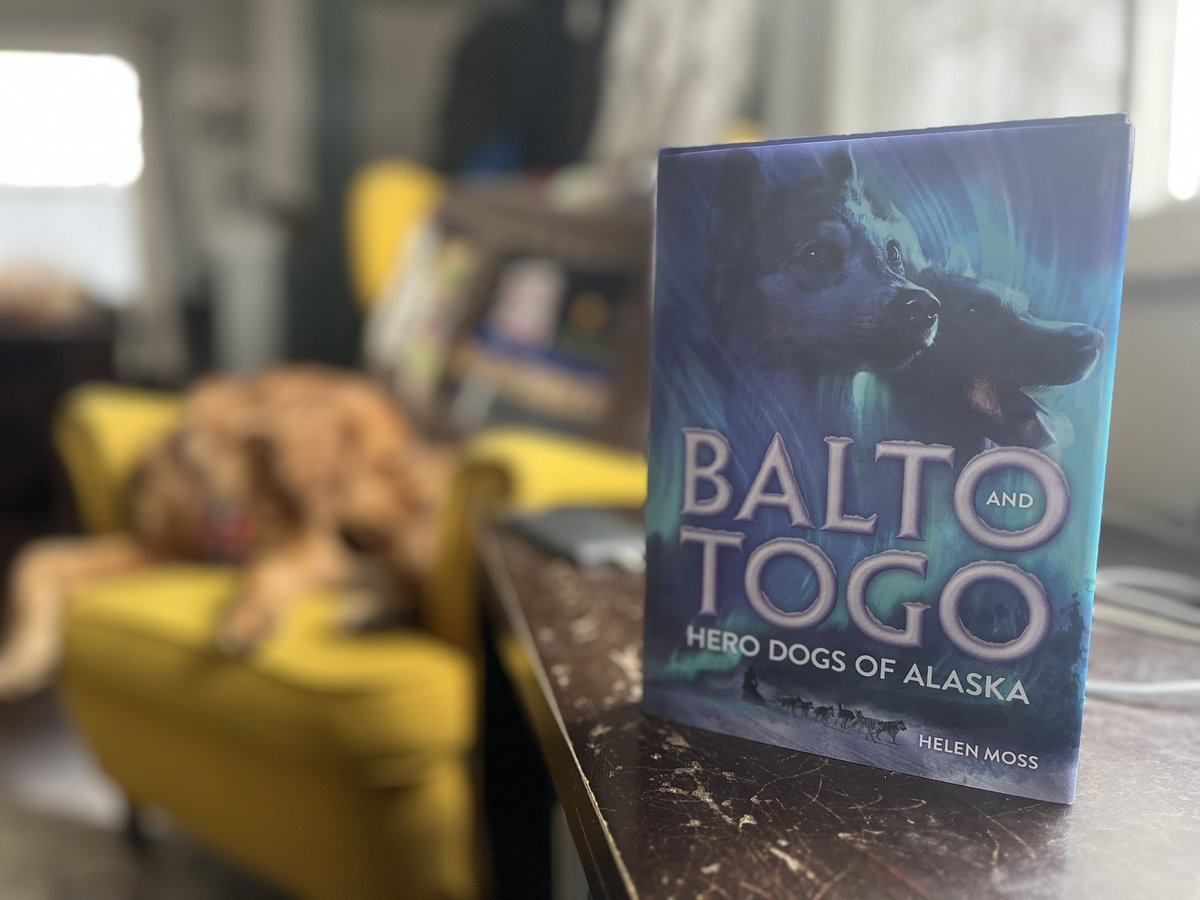 Teacher_AWebb's tweet image. Excited to kick off a long weekend with some reading! Thanks to @MacKidsSL for this #bookexcursion copy of what is bound to be a grand adventure based on the true story of dogs who save the day (the best kind of book)!