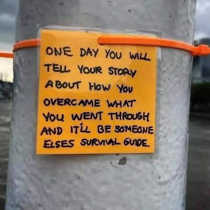 WholesomeMemes (@wholesomememe) on Twitter photo 