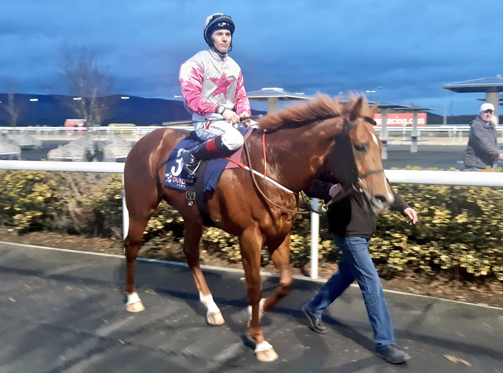 IrishRacing365's tweet image. Never Cry Never and Colin Keane @DundalkStadium