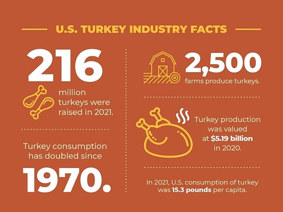 Thanksgiving 2023: When is it, turkey facts and more