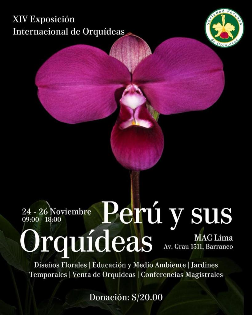 ProJbnl's tweet photo. La Soc. Peruana de Orquídeas presenta la XIV Exposición Internacional: PERÚ Y SUS ORQUÍDEAS.
Disfruta de: Diseños florales, Conferencias magistrales, venta de orquídeas, Jardines temporales y Educación Ambiental.
Fecha: este 24-26
Lugar : MAC Lima (Barranco)
Hora:  09:00 a 18:00 https://t.co/rB2wy0ySwK