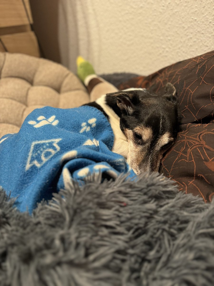 🐶❤️