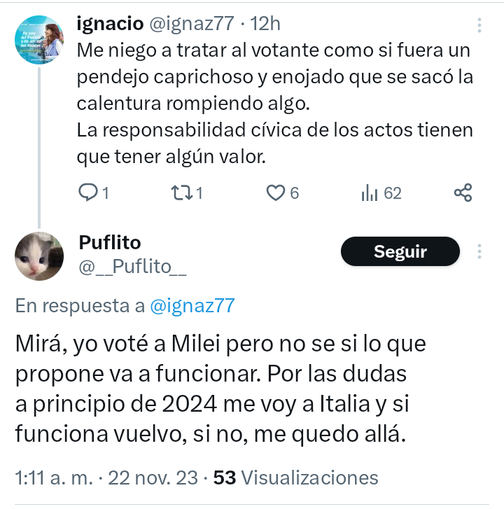 Si sale bien vuelvo, si no, jódanse todos ustedes mientras yo paseo por Europa