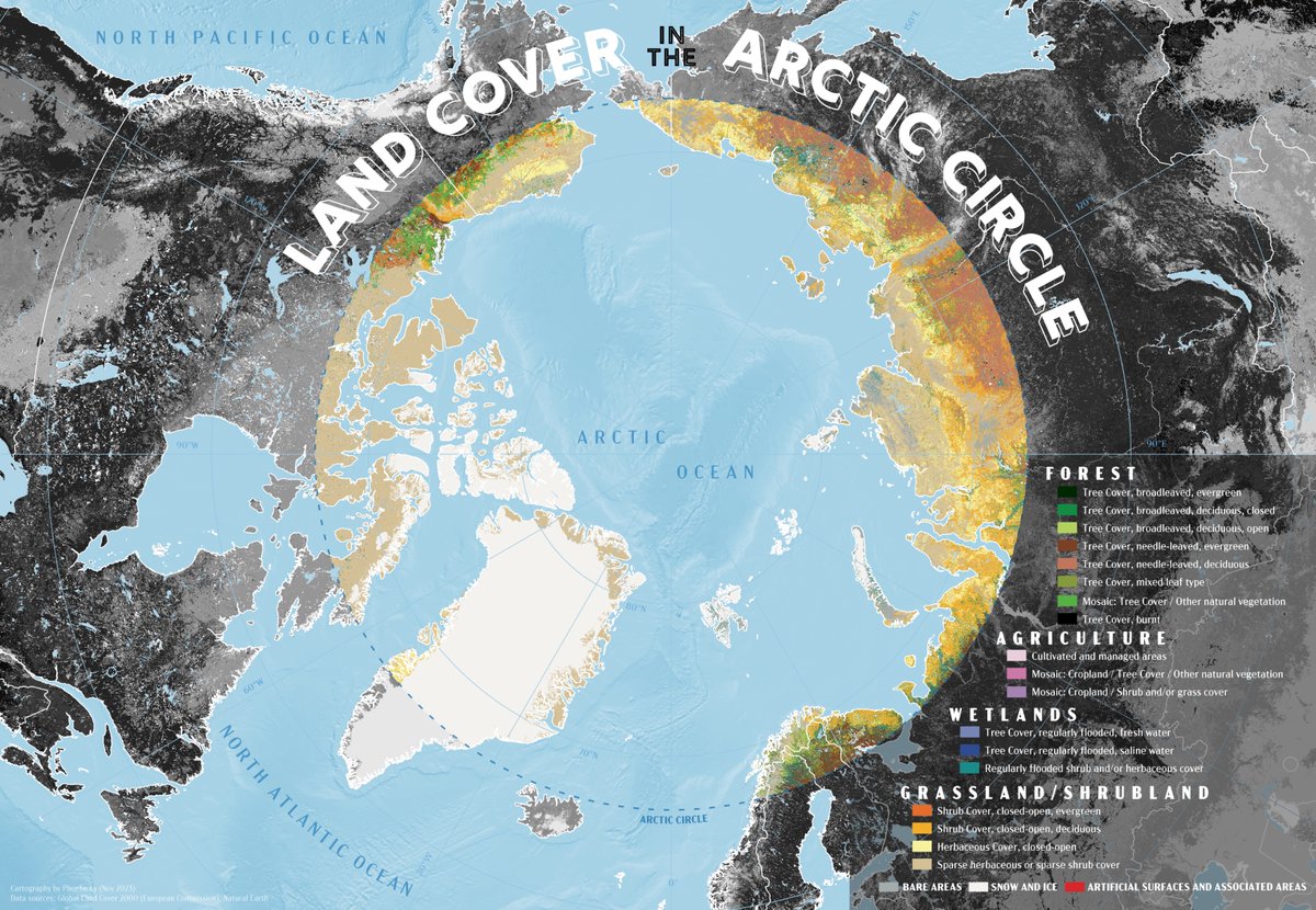 Phoebe L. tweet media