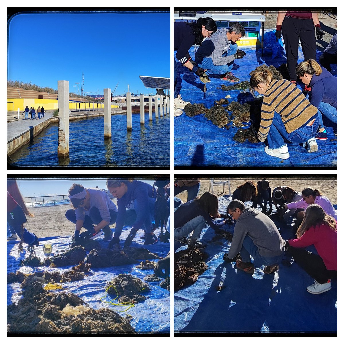 Acció de voluntariat d' <a href="/aiguesbcnclient/">Aigües de Barcelona</a> Neteja del fons marí #gotesquesumen 💧 <a href="/FECDAStwit/">Federació Catalana d′Activitats Subaquàtiques</a>