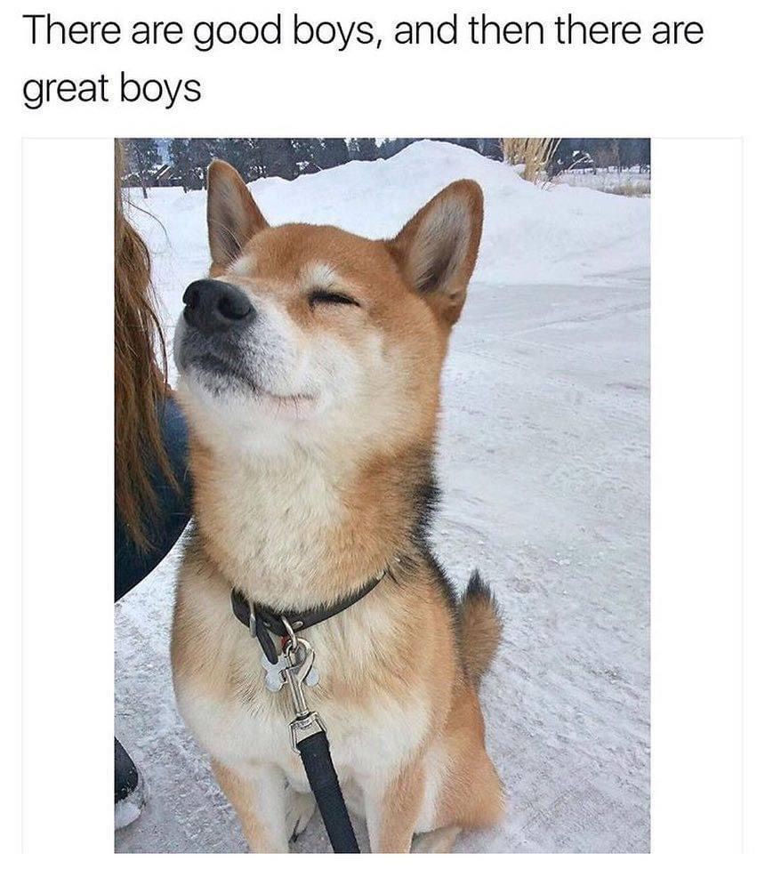 Ayşe Özkoptur tweet media