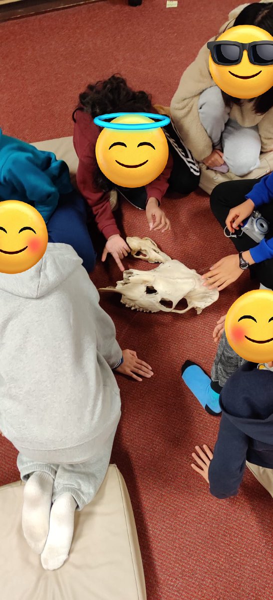 North Agincourt JPS tweet media