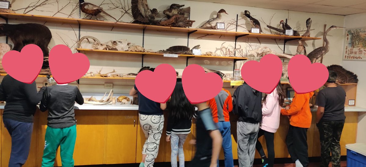 North Agincourt JPS tweet media