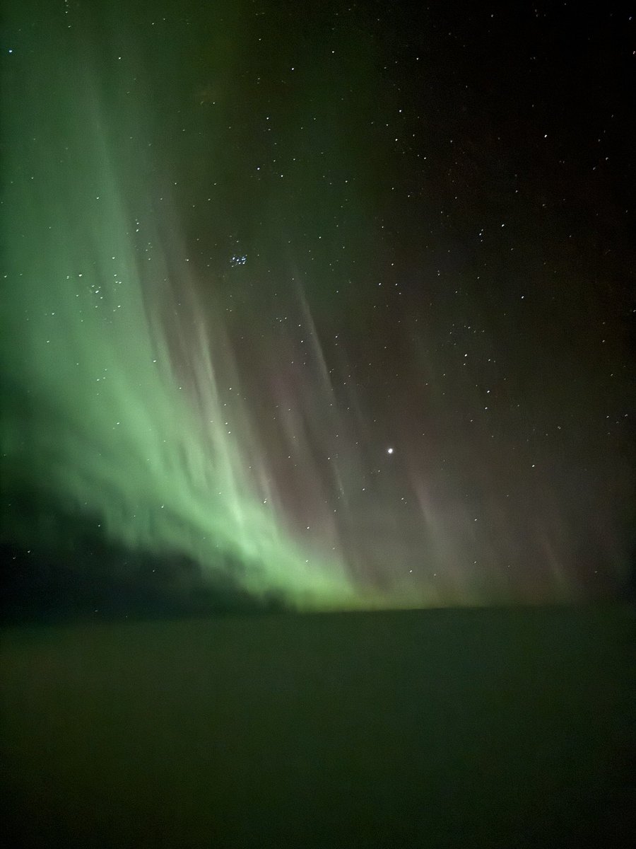 Wonderful, final send off from #northernlights #Auroraborealis #Norway #Bardufoss