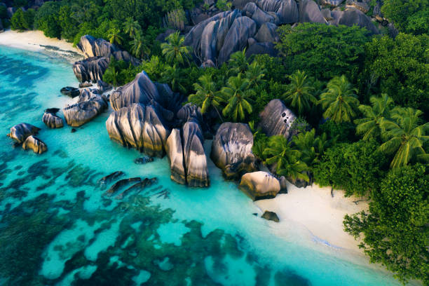 SergioRamosEN's tweet photo. La Digue Discovery: Cycling through La Digue's laid-back charm, where time seems to slow down. Anse Source d'Argent's iconic granite boulders and Anse Coco's secluded cove await exploration. 🚴‍♂️🏝️ #LaDigueAdventures #IslandTime https://t.co/hbuvUErBA9