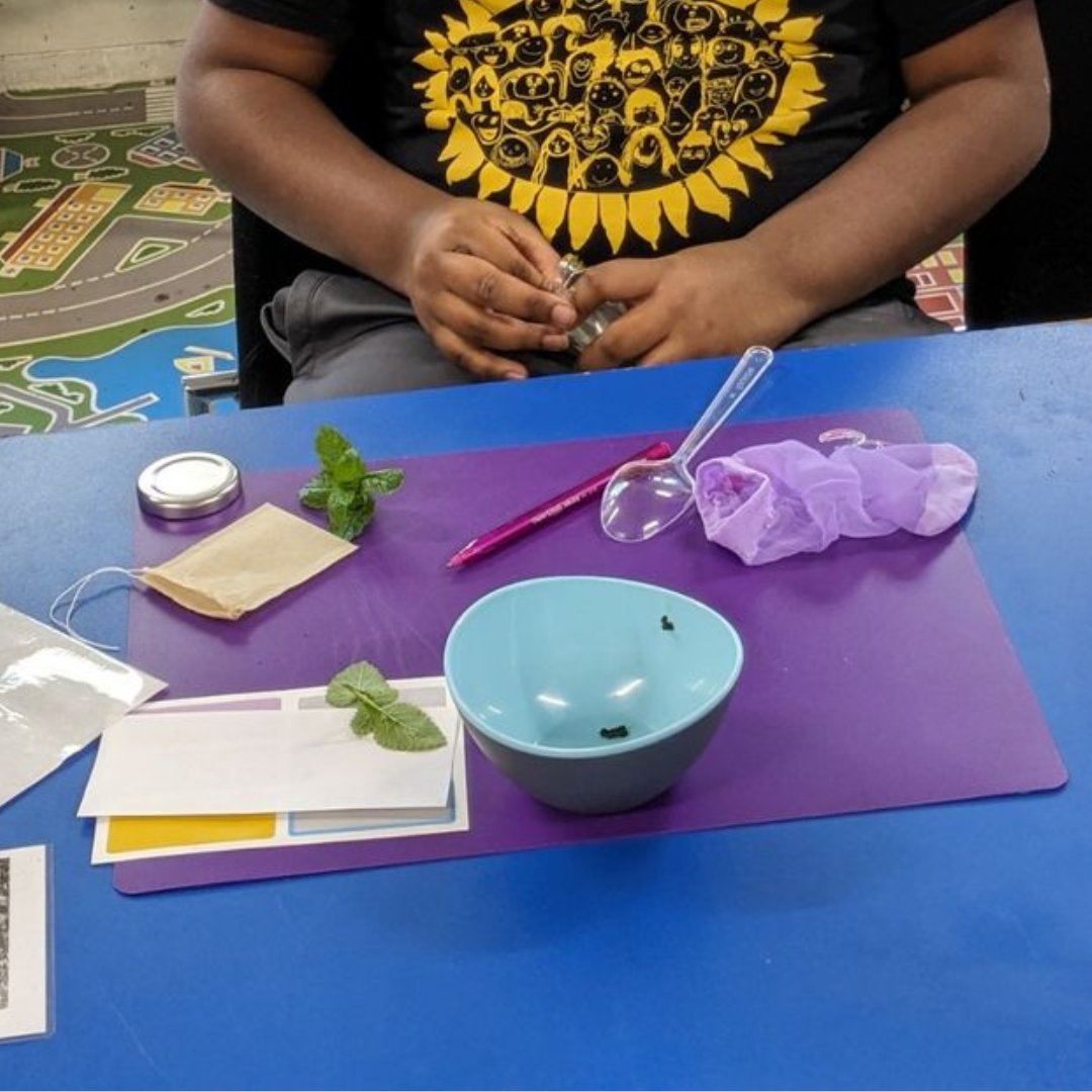new_school_uk's tweet photo. 🌿 Class 3 had a great time in last week's herbal medicine workshop! They delved into the world of herbal remedies, discovering the soothing properties of lemon balm, and making stress balls 🍋 #edutwitter https://t.co/IJcBn9vfpf