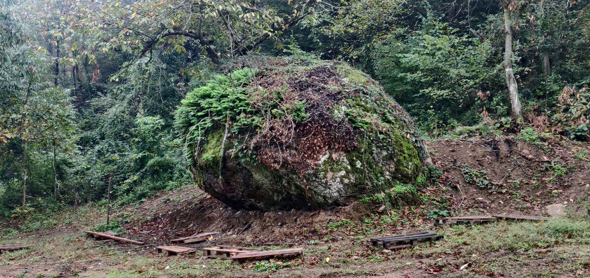 Öğrencilerin sorgulamaya yönelik etkinliklere katılımını sağlayacak fırsatlar sunmak için sorgulamaya dayalı öğrenme,sorgulama becerileri dahil pek çok beceriye ihtiyaç vardır. Bu bağlamda coğrafya burada potansiyel bir açık hava laboratuvarıdır.
<a href="/meb_ttkb/">Talim ve Terbiye Kurulu Başkanlığı</a>
#EğitimCoğrafyasızOlmaz
