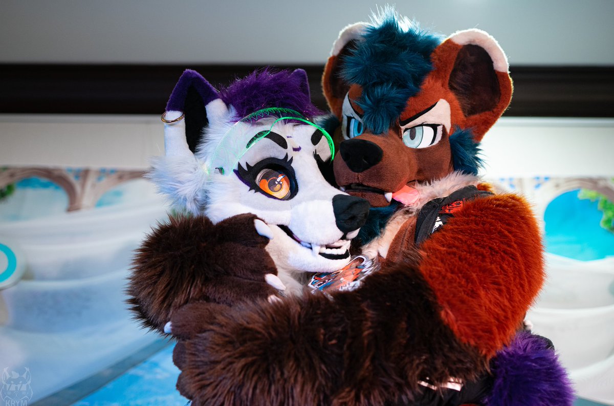 Luunafurry14's tweet photo. This is why i love the fandom, meet new kind people like @RuniNox it's amazing ❤️

I'm happy to have theses pics to keep this memories thank you @Krymson_K ! https://t.co/rkALWFcvXk
