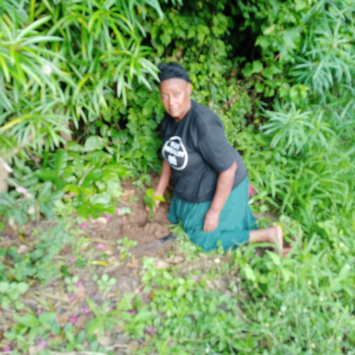 ngangace's tweet photo. Rural women participated on tree planting , self commentement on sustaining https://t.co/reFdU6TIfg