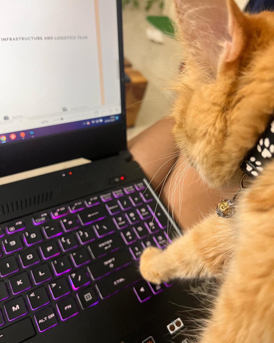 immaSueyaa's tweet photo. Bro helping me get straight A’s #bcm114 https://t.co/3NEGAhrfyt