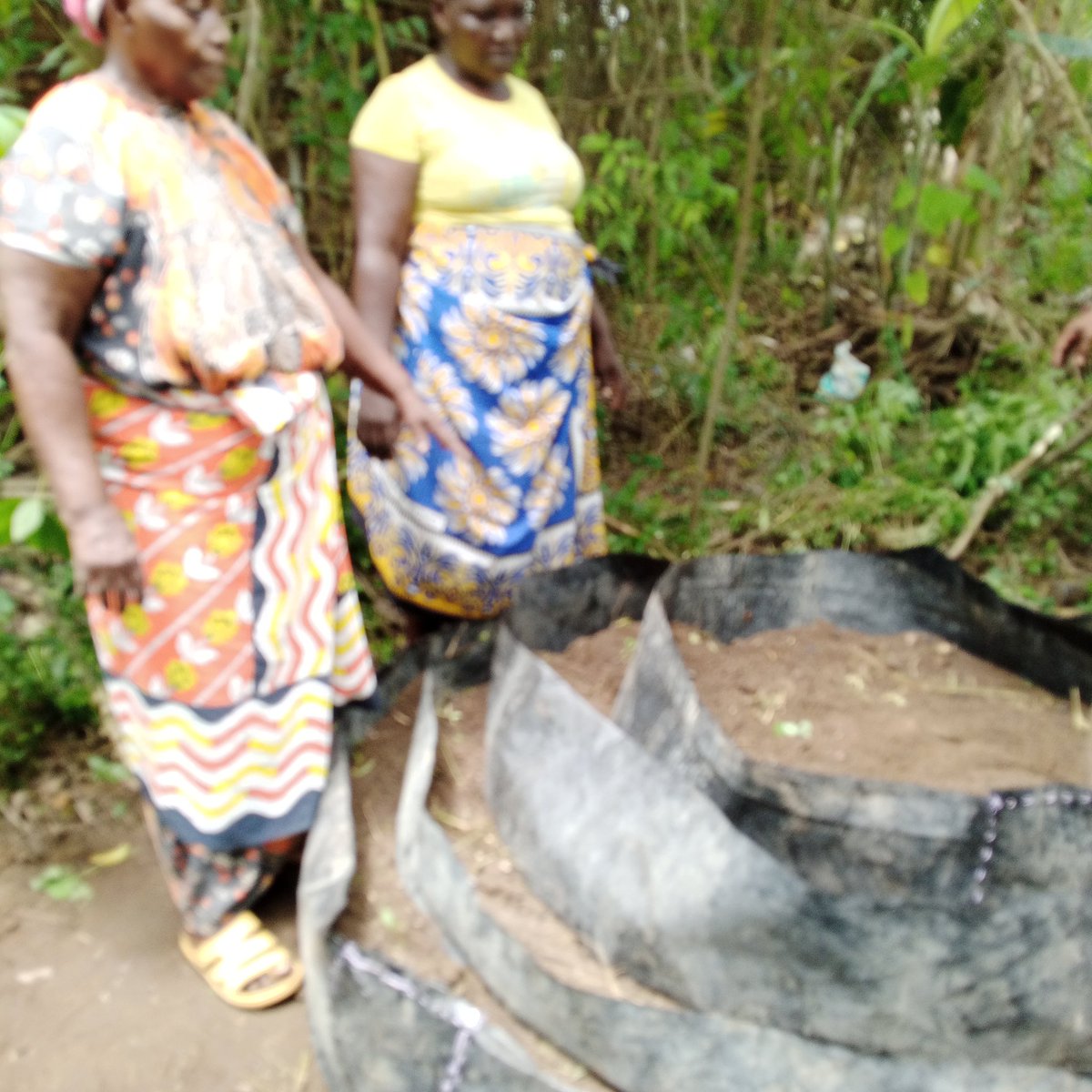 ngangace's tweet photo. #women seed enterprises
#MY SEED
#MY FOOD
#MY FUTURE
#MALNUTRITION RATE REDUCTION
#MORTARITY RATE REDUCTION https://t.co/3R5DtBSG3k