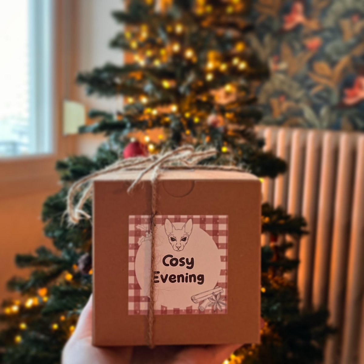 VegolasZer's tweet image. Une petite bougie au pied du sapin ? 🎄🫣✨