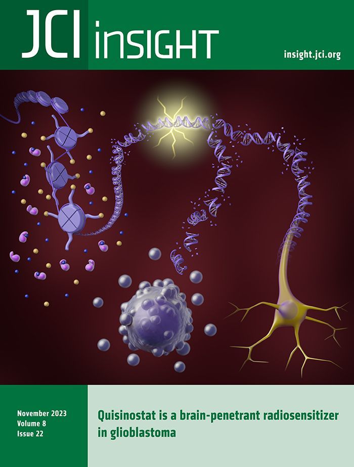JCI_insight's tweet photo. #Cover: Quisinostat is a brain-penetrant radiosensitizer in glioblastoma: https://t.co/Qm1lPGIjDD 
Image: artistic interpretation of how quisinostat treatment increases histone acetylation &amp; relaxation of the chromatin. 
@smehtalab @IvyBrainTumCtr 
#Oncology #Therapeutics https://t.co/jigu3Dyycb