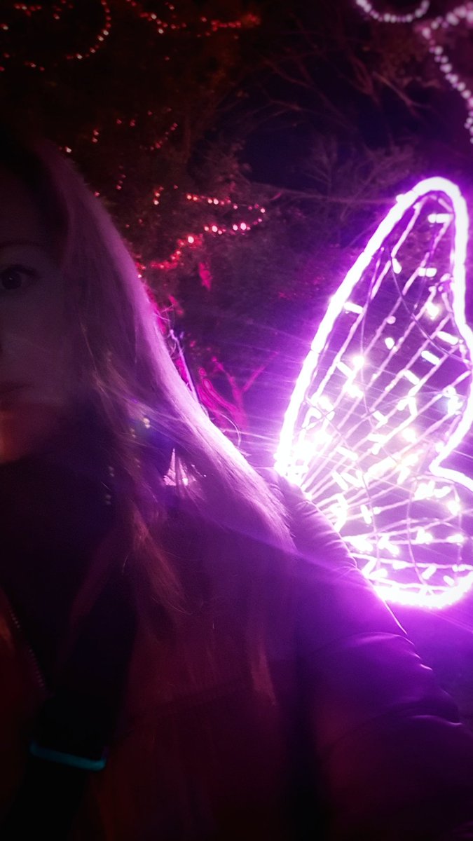 Cookie2909's tweet photo. #butterfly 🦋 https://t.co/Z1OZOxbKeL