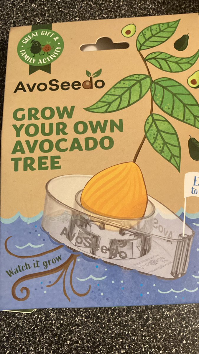 I enjoy plants, gardening, and eating avocados especially on sandwiches and salads. So I guess this was the perfect #birthdaygift . I can’t wait to see how it grows..🌱#avocado #plants #birthdaygift #fungifts