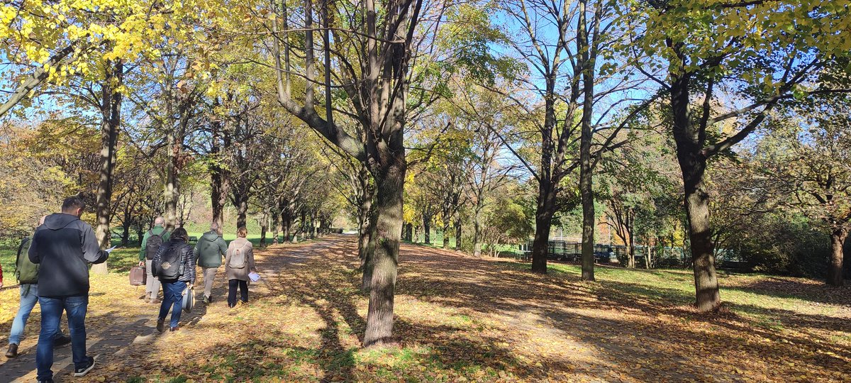 MndzMery's tweet photo. Today we finished the @SUPERB_project Festival in #Milan visiting the #demosite of #ParcoNord. Thanks for this amazing closing day @ProspexInst partners!! 🙂🌲🌳🦝 @INIA_es @CSIC @IciarAlberdi #restoration #forestresearch #ClimaChange https://t.co/b1fa5fLuFK