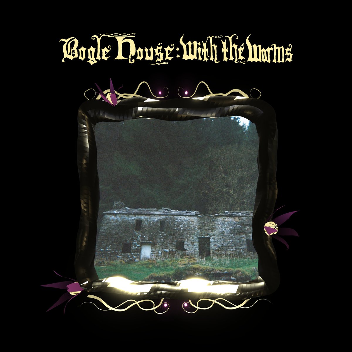 TONIGHT 'Bogle House - With the worms' is finally released into the wild. 
interworldmedia.bandcamp.com/album/with-the…
Catch a physical copy at the album launch party! Deets:
skiddle.com/whats-on/Sheff…