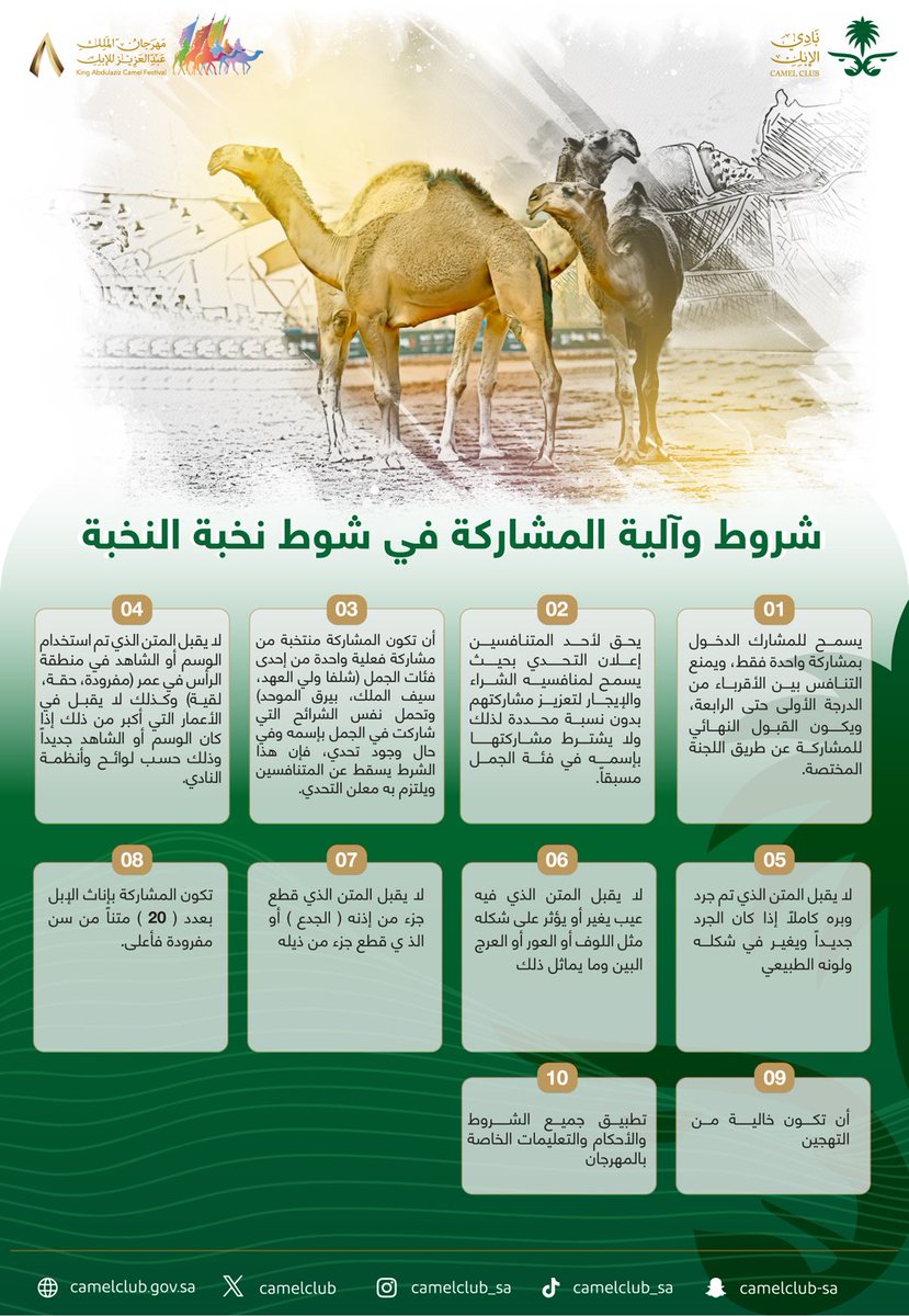 CamelClub's tweet photo. 📑| تعرّف على شروط وآلية المشاركة في شوط نخبة النخبة بحلتها الجديدة في #مهرجان_الملك_عبدالعزيز_للإبل8⁩.
⁧#نادي_الإبل https://t.co/sDOuu1ybea