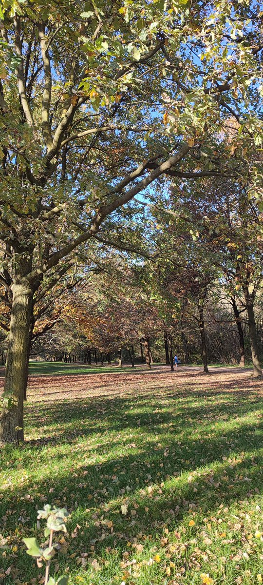 MndzMery's tweet photo. Today we finished the @SUPERB_project Festival in #Milan visiting the #demosite of #ParcoNord. Thanks for this amazing closing day @ProspexInst partners!! 🙂🌲🌳🦝 @INIA_es @CSIC @IciarAlberdi #restoration #forestresearch #ClimaChange https://t.co/b1fa5fLuFK