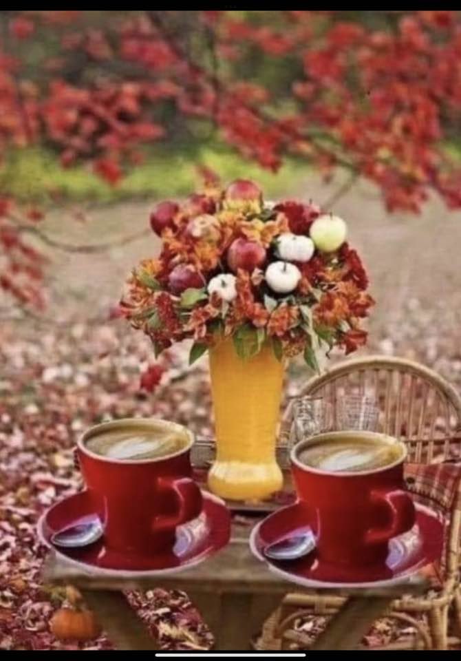 Dede38__'s tweet image. 🐞🙏🐞
bir kahvenin tadını,
bir insan sesi değiştirebilir.
berbat bir günü,
bir insan yüzü güzelleştirebilir.
acı bir haberi,
bir insan sözü hafifletebilir.
mutlu bir anı,
bir insan daha mutlu yapabilir.
insan insana lazımdır.
ama insan insana…
#SEÇİL #OĞUZ
🌹 
🌹 
🍒
       🍒